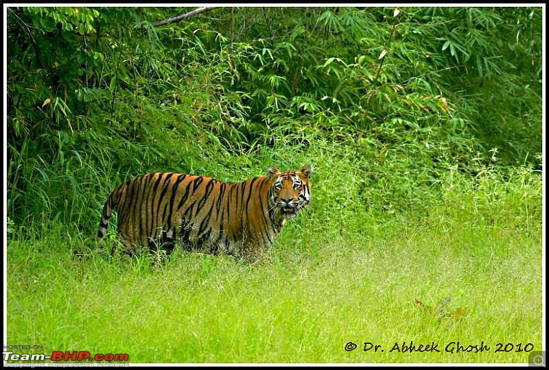 Nobody can assure you a Tiger, and thats the fun of it - Team BHP meet at Tadoba !-img_8188.jpg