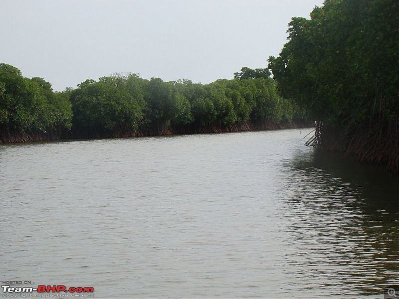 Pondicherry and Pichavaram Forest trip-Sep 10, 2010-dsc04257.jpg