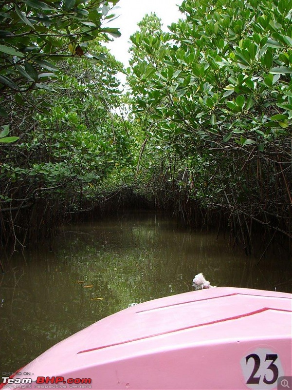 Pondicherry and Pichavaram Forest trip-Sep 10, 2010-dsc04426.jpg