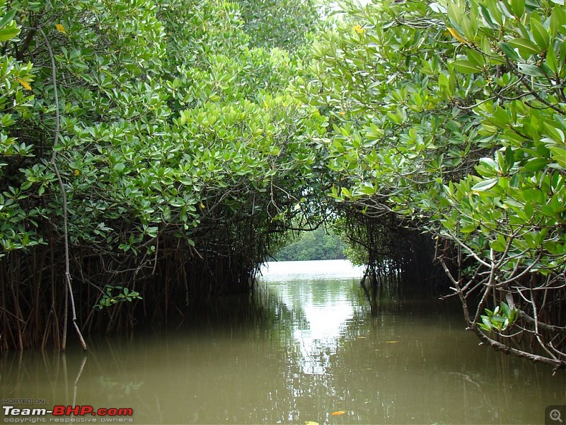 Pondicherry and Pichavaram Forest trip-Sep 10, 2010-dsc04443.jpg