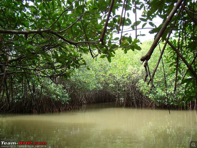 Pondicherry and Pichavaram Forest trip-Sep 10, 2010-dsc04461.jpg