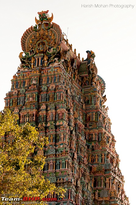 Trip to the ever enchanting Tamilnadu.-maduraipicstemplemeenakshi.jpg