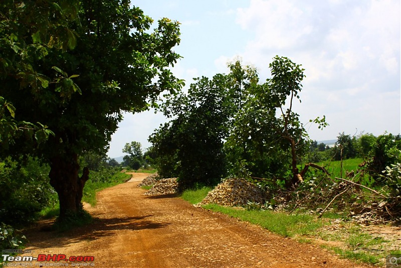 Nobody can assure you a Tiger, and thats the fun of it - Team BHP meet at Tadoba !-_mg_4700.jpg