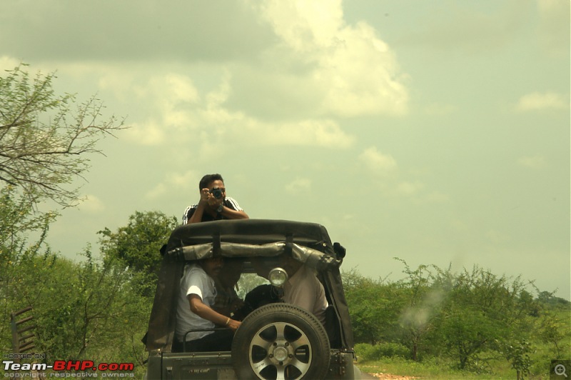 Nobody can assure you a Tiger, and thats the fun of it - Team BHP meet at Tadoba !-gypsy-1.jpg