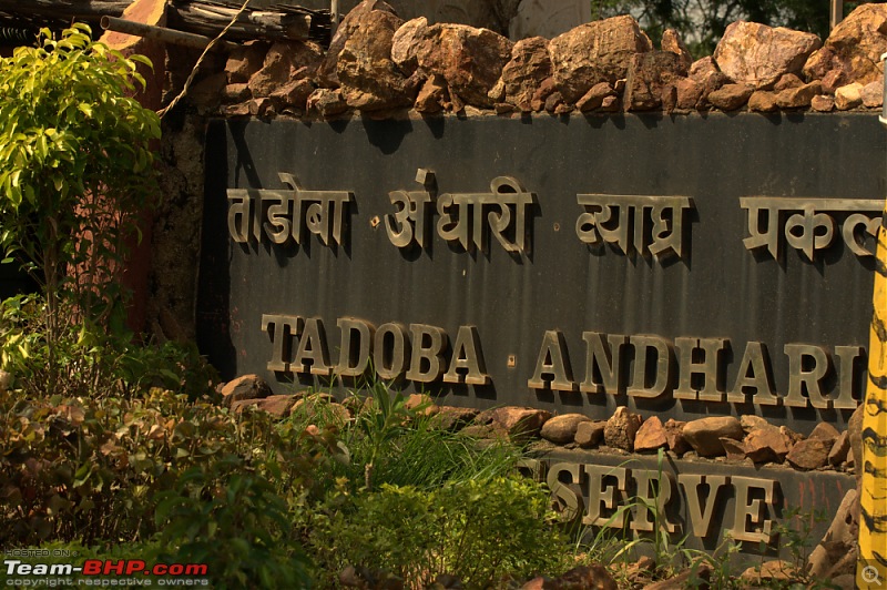 Nobody can assure you a Tiger, and thats the fun of it - Team BHP meet at Tadoba !-dsc_0435.jpg