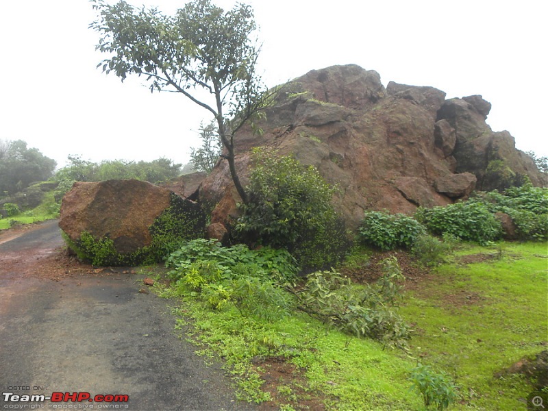 Snakes,leeches and a magnificnet waterfall..a phtologue of Kaas-kelwali Trekk.-dscn4458.jpg