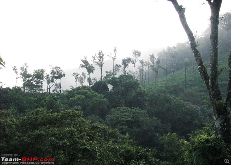 Experiencing the Monsoon - On the Horse Face and on top of KA - A Trekkalog-kudremukh-18.jpg