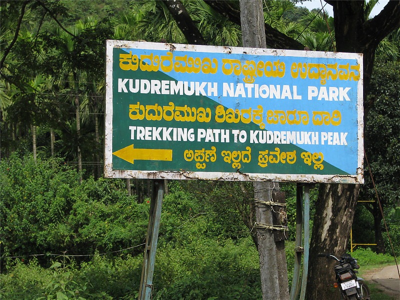 Experiencing the Monsoon - On the Horse Face and on top of KA - A Trekkalog-kudremukh-234.jpg