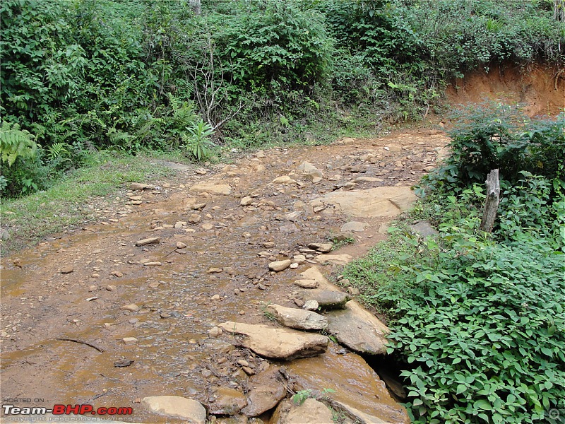 Experiencing the Monsoon - On the Horse Face and on top of KA - A Trekkalog-kudremukh-295.jpg