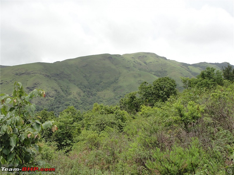 Experiencing the Monsoon - On the Horse Face and on top of KA - A Trekkalog-kudremukh-322.jpg