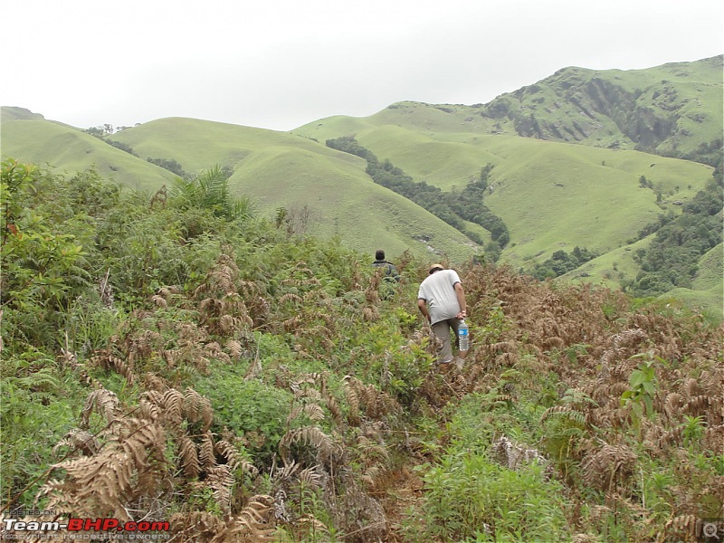 Experiencing the Monsoon - On the Horse Face and on top of KA - A Trekkalog-kudremukh-336.jpg