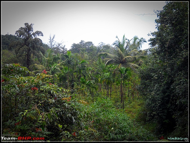 Monsoon Road Trip : Bangalore - Kumta-dscn0760.jpg