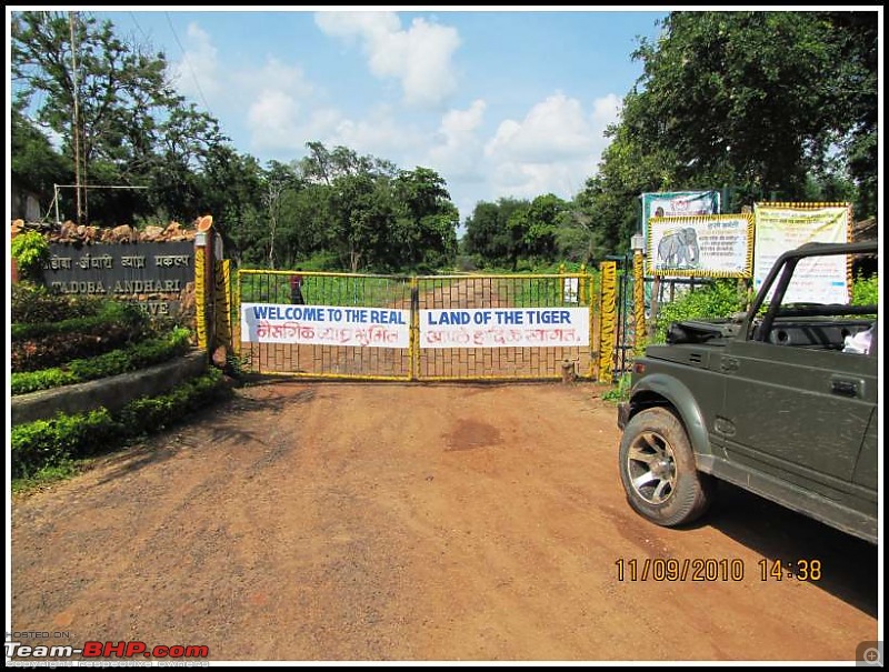 Nobody can assure you a Tiger, and thats the fun of it - Team BHP meet at Tadoba !-prerequisite-good-wildlife-read-tiger-exp.jpg