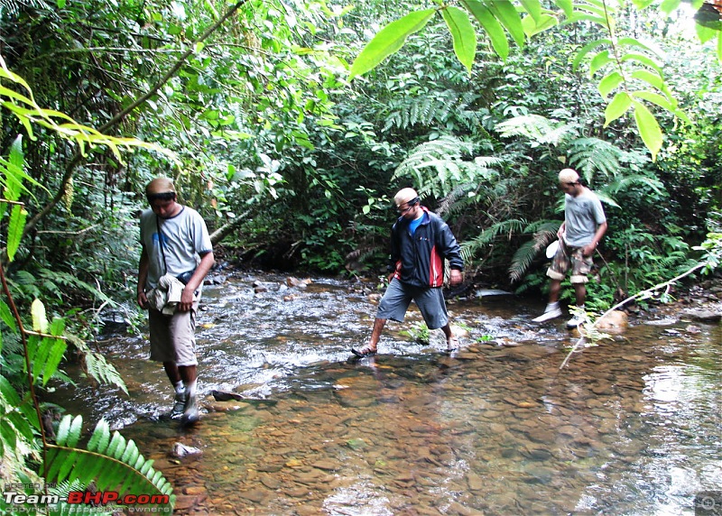 Experiencing the Monsoon - On the Horse Face and on top of KA - A Trekkalog-kudremukh-446.jpg