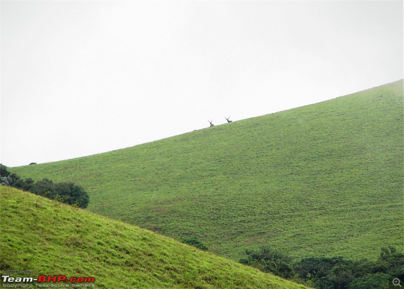 Experiencing the Monsoon - On the Horse Face and on top of KA - A Trekkalog-kudremukh-502.jpg