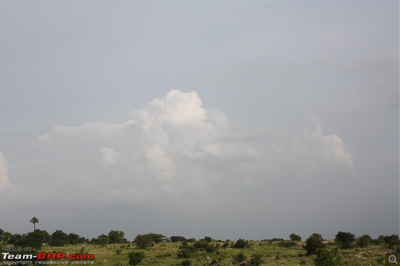 Headed to Sundarbans in search of the elusive Royal Bengal Tiger-img_0559.jpg