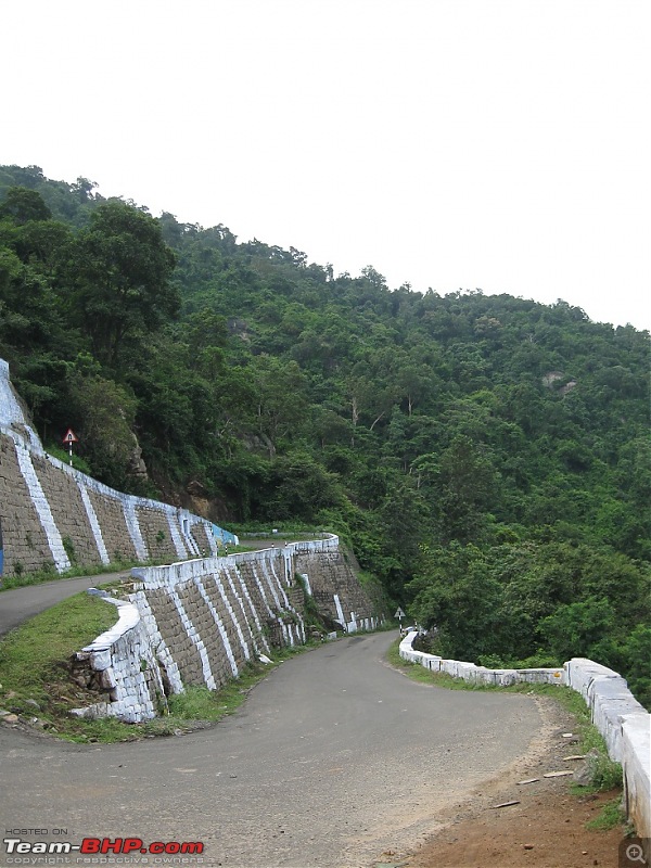 Kolli Hills - Day Trip from Bangalore (Aagasa Gangai falls at its Best)-img_2753.jpg