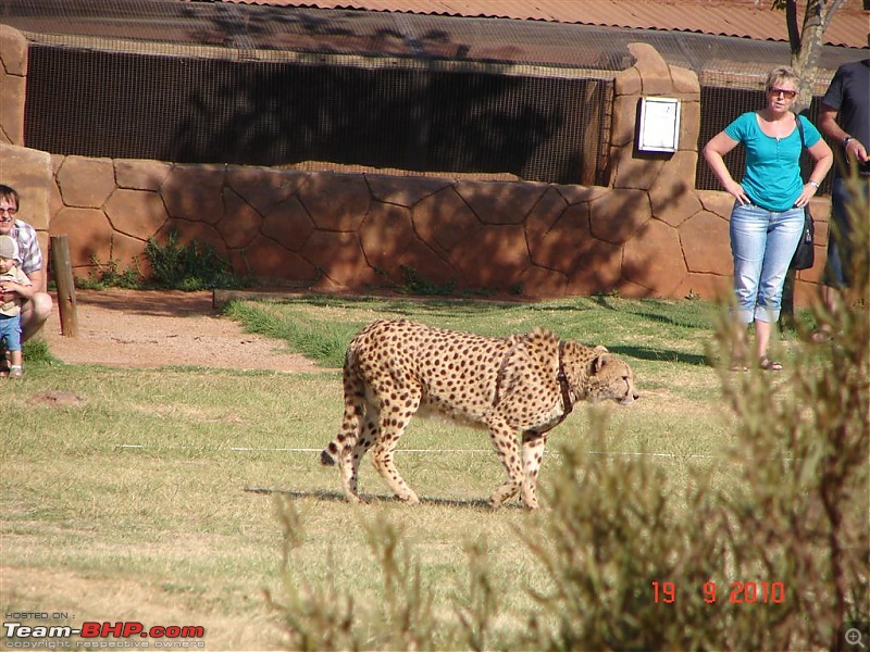 Some pics and Experience at South Africa-l_r-park-148.jpg