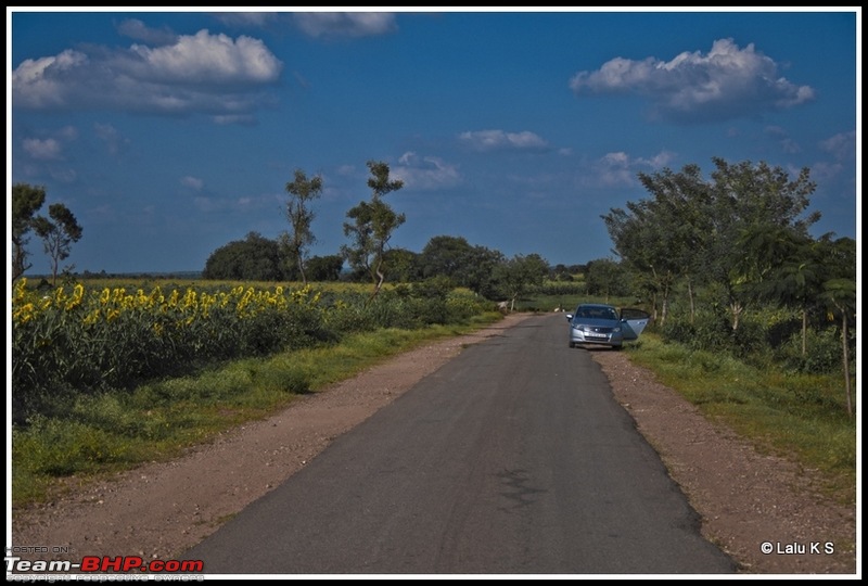 Flower Power : Celebrating nature, the mini KAASmiri way-dsc_8532raw.jpg