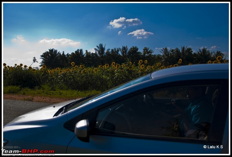 Flower Power : Celebrating nature, the mini KAASmiri way-dsc_8542raw.jpg