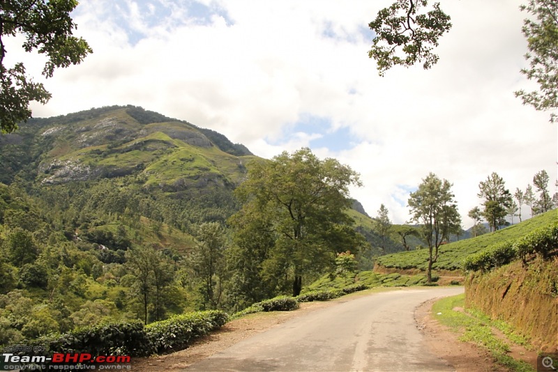 A trip through the lesser known roads of Munnar and Vagamon-img_1296.jpg