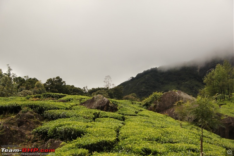 A trip through the lesser known roads of Munnar and Vagamon-img_1343.jpg