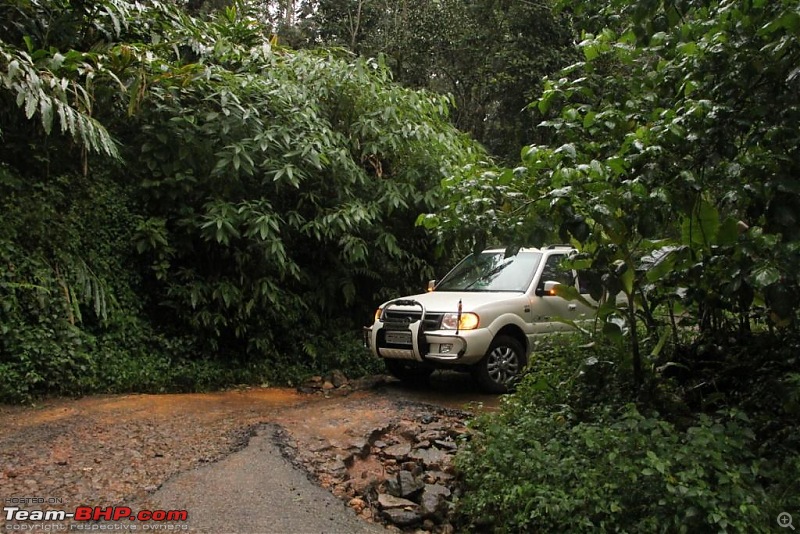 A trip through the lesser known roads of Munnar and Vagamon-img_1509.jpg