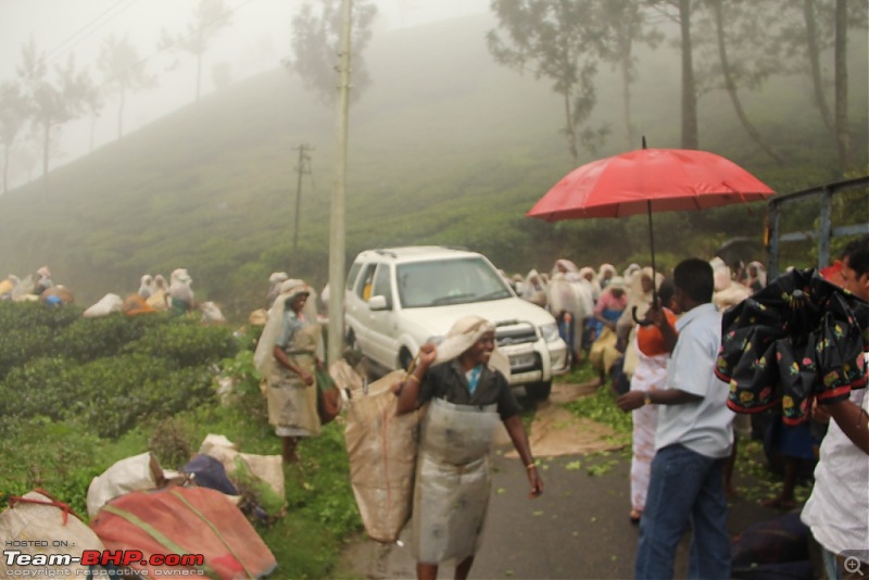 A trip through the lesser known roads of Munnar and Vagamon-img_1702.jpg