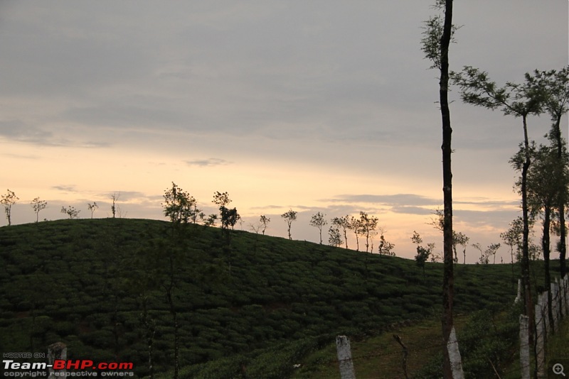 A trip through the lesser known roads of Munnar and Vagamon-img_2096.jpg