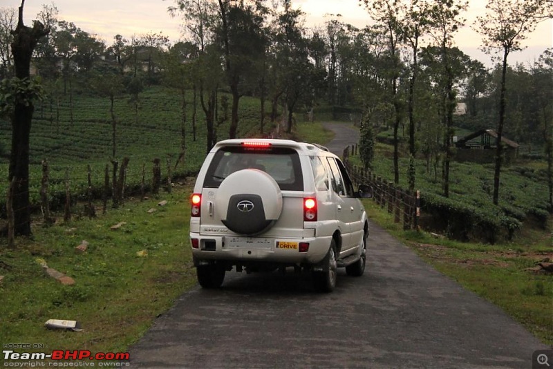 A trip through the lesser known roads of Munnar and Vagamon-img_2131.jpg