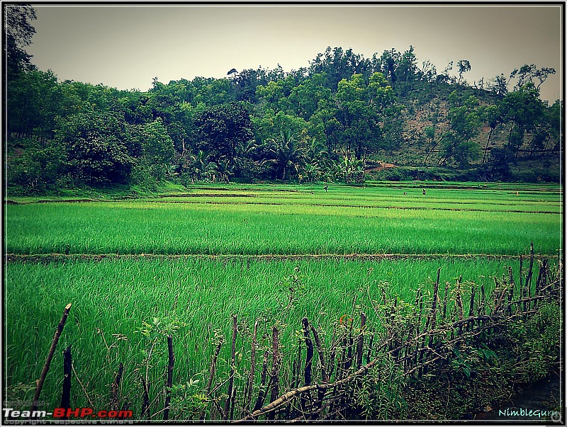 Monsoon Road Trip : Bangalore - Kumta-dscn1033.jpg