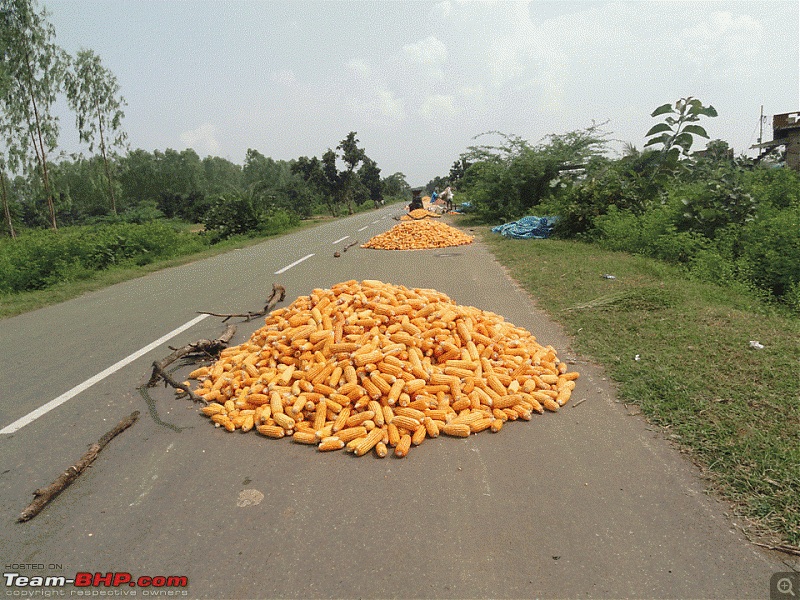 Celebrating fatherhood..and a drive to remember-corn.gif