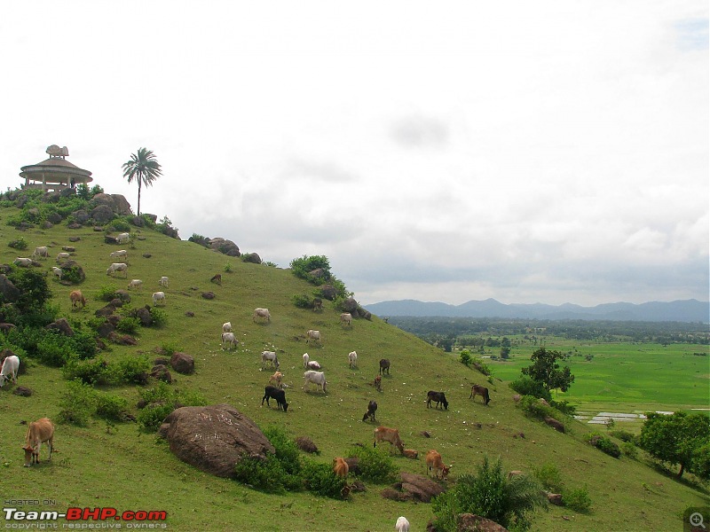 Messenjore during Monsoon celebrating 6th Birthday!-img_1452.jpg