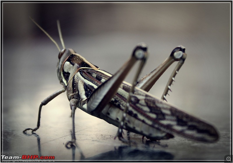 Monsoon Road Trip : Bangalore - Kumta-gh2.jpg