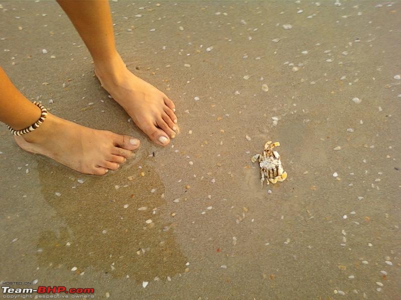 Love Story - Sun Surf Sand and Sorpotel-deadcrab.jpg