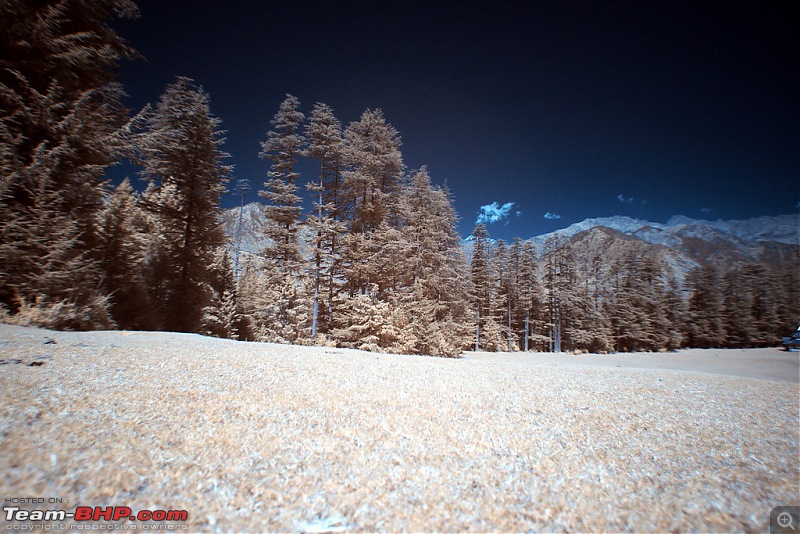 The Great Himalayan National Park : A trek/Photolog-1050995542_xheygxl.jpg