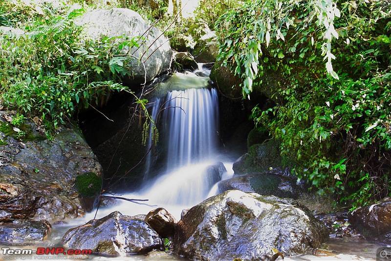 The Great Himalayan National Park : A trek/Photolog-1059146386_dkwrqxl.jpg