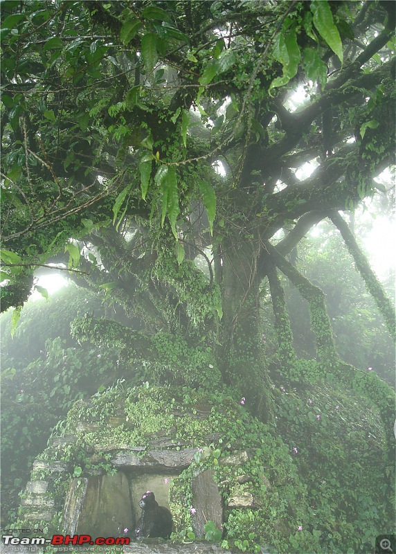 Experiencing the Monsoon - On the Horse Face and on top of KA - A Trekkalog-dsc06580.jpg