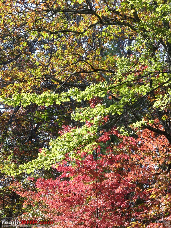 Blue Ridge Parkway - Fall 2010 (A photologue)-dscn9071.jpg