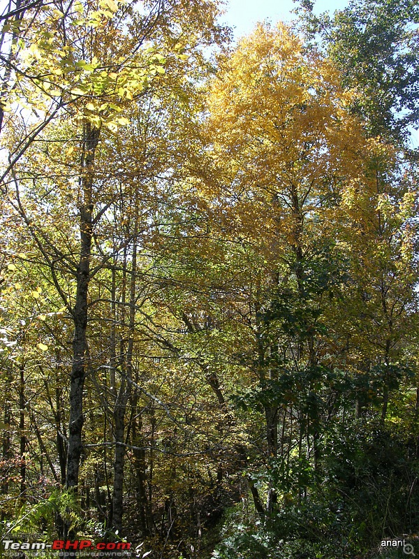 Blue Ridge Parkway - Fall 2010 (A photologue)-dscn9088.jpg