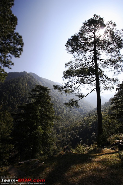 The Great Himalayan National Park : A trek/Photolog-1059693998_krsnexl.jpg