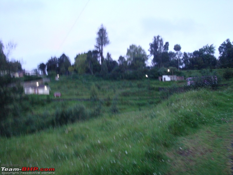 Bandipur, Ooty - Panther, Tiger, Tea estates and Mist-dsc01323.jpg
