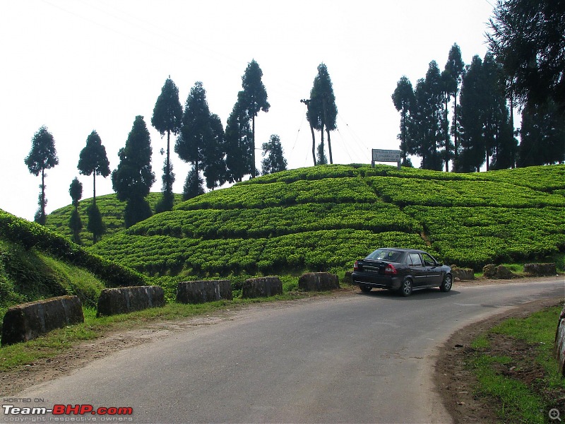 Gurashey -Lepchajagat - Pre Puja Escape to North Bengal-img_1812.jpg