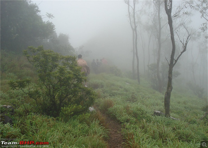 Experiencing the Monsoon - On the Horse Face and on top of KA - A Trekkalog-mbgiri-44.jpg