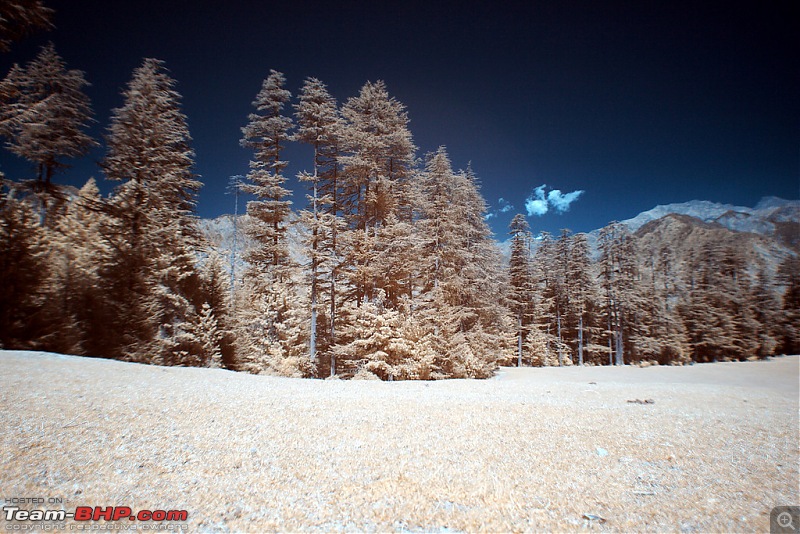 The Great Himalayan National Park : A trek/Photolog-1050976467_okv86xl.jpg