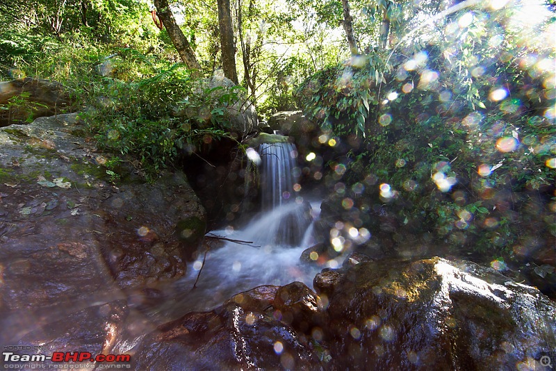 The Great Himalayan National Park : A trek/Photolog-1059149167_gqqc2xl.jpg