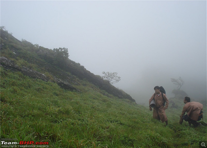 Experiencing the Monsoon - On the Horse Face and on top of KA - A Trekkalog-mbgiri-61.jpg
