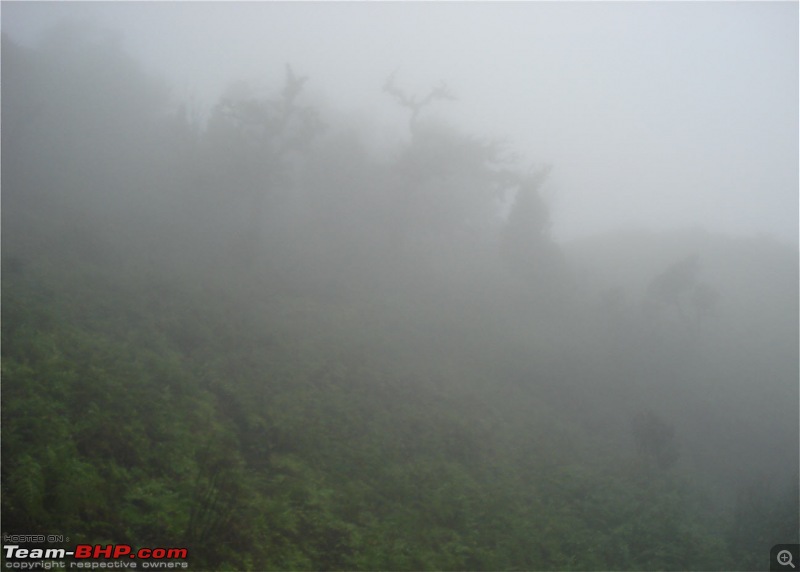 Experiencing the Monsoon - On the Horse Face and on top of KA - A Trekkalog-mbgiri-72.jpg