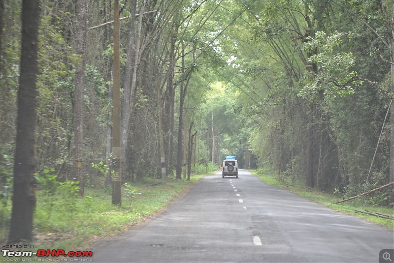 A Journey through Leisure trail of Wayand-dsc_5474.jpg