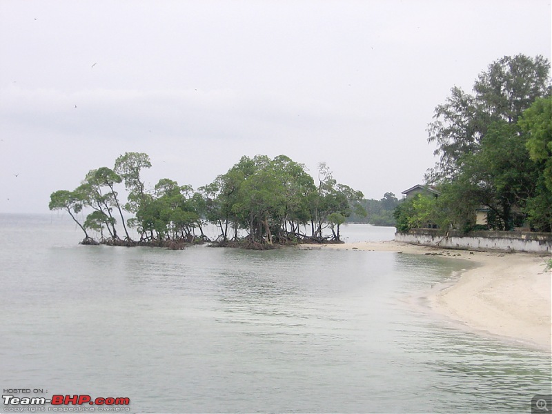 A memorable trip to the Andamans-img_6054.jpg